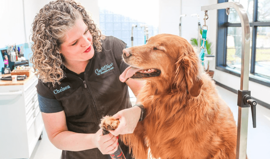 Dog Grooming